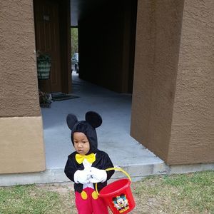 Meet your Posher, Minnie